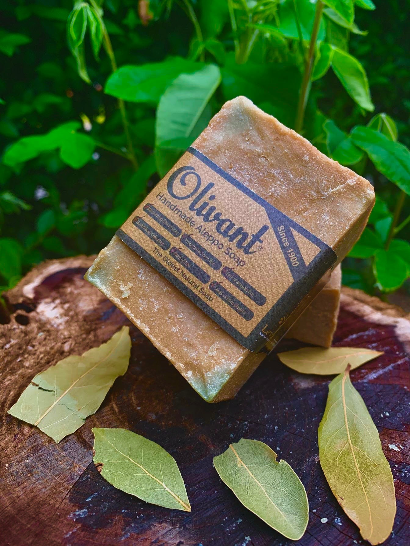 Handmade Olive Oil Aleppo soap – for face, hands and body - giftwellness